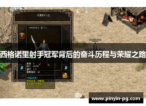 西格诺里射手冠军背后的奋斗历程与荣耀之路