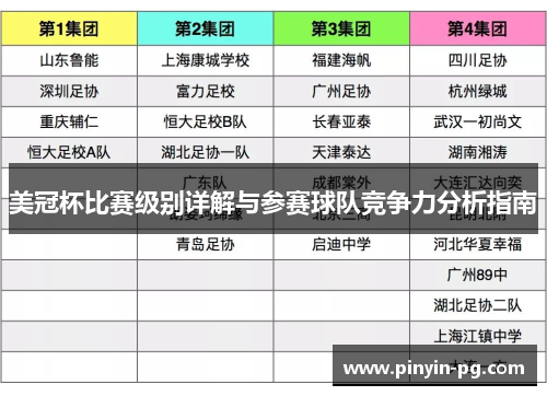 美冠杯比赛级别详解与参赛球队竞争力分析指南