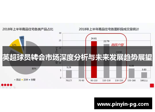 英超球员转会市场深度分析与未来发展趋势展望