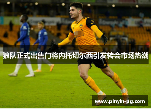 狼队正式出售门将内托切尔西引发转会市场热潮