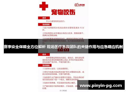 赛事安全保障全方位解析 现场医疗急救团队的关键作用与应急响应机制