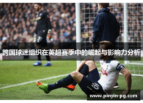 跨国球迷组织在英超赛季中的崛起与影响力分析